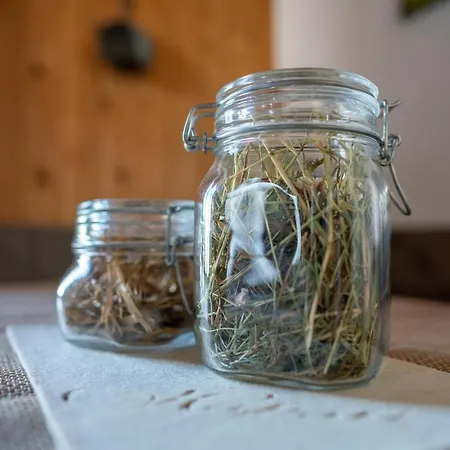 Bergbauernhof Pabulariu Farm stay