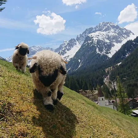 农家乐 Bergbauernhof Pabulariu *
