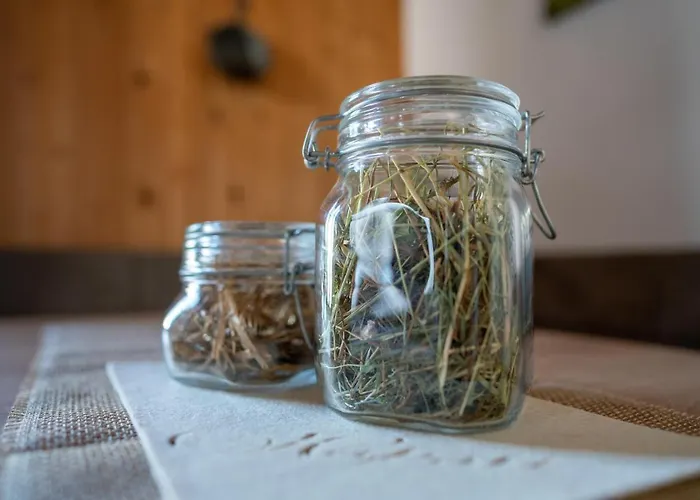 Bergbauernhof Pabulariu Séjour à la ferme