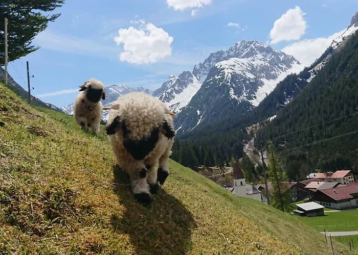 Séjour à la ferme Bergbauernhof Pabulariu *