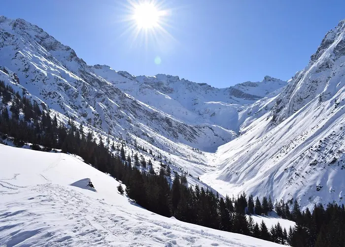 Bergbauernhof Pabulariu