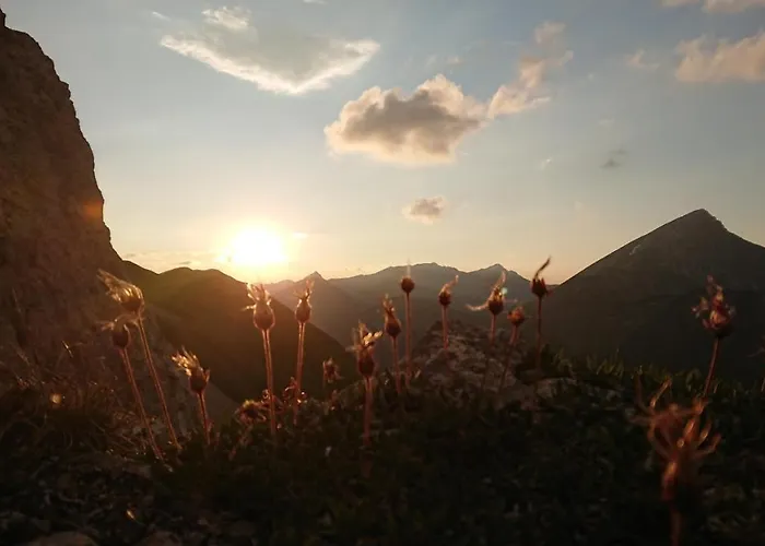 Séjour à la ferme Bergbauernhof Pabulariu Boden