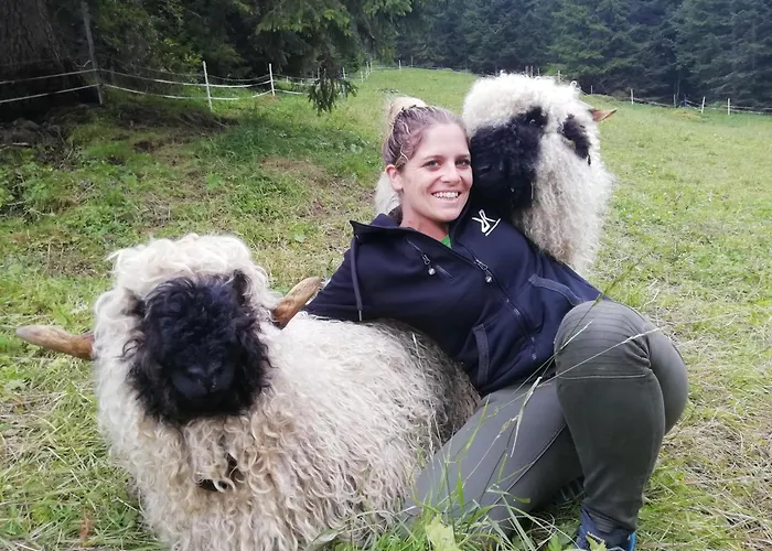 Bergbauernhof Pabulariu