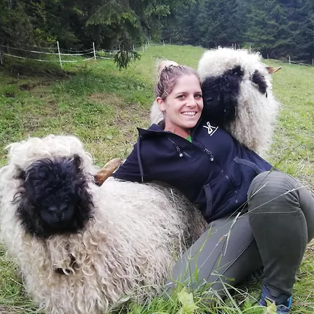 Bergbauernhof Pabulariu